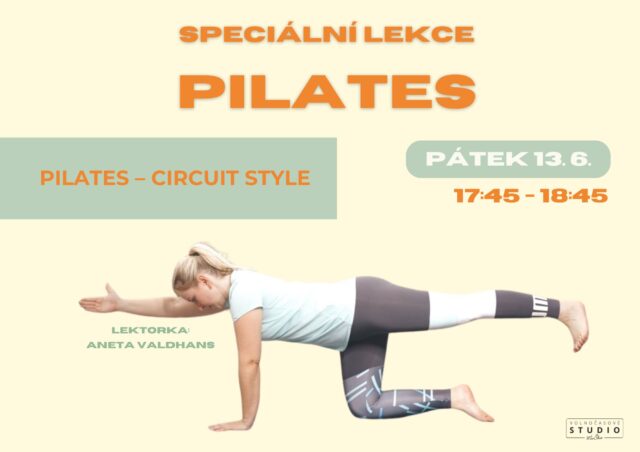 https://studiomuska.cz/wp-content/uploads/2025/05/latinskoamericke-lekce-2-640x452.jpg
